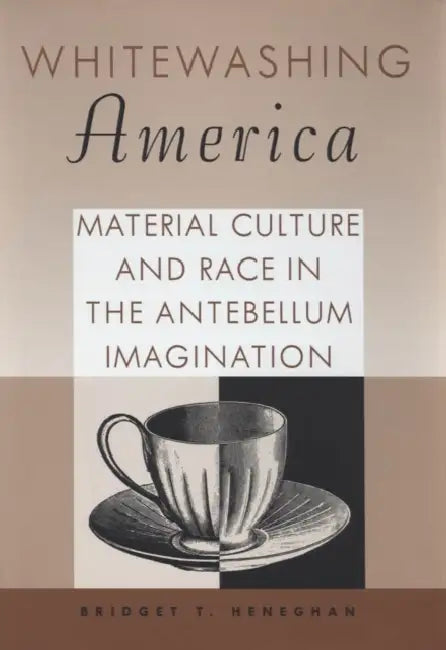 Whitewashing America (English, Bridget T. Heneghan)