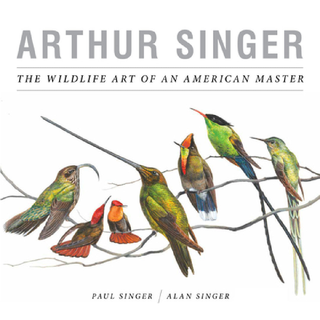 Arthur Singer (English, Alan Singer | Paul Singer)