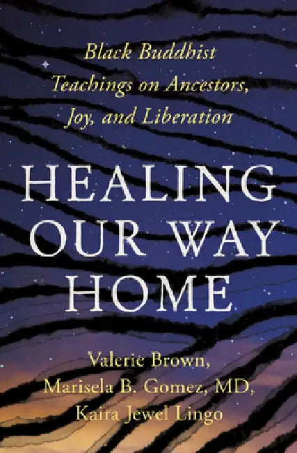 Healing Our Way Home (English, Kaira Jewel Lingo)