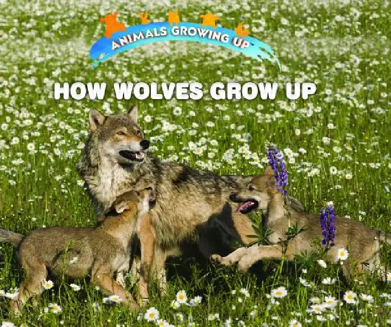 How Wolves Grow Up (English, Linda Bozzo)