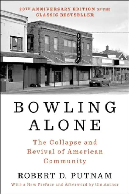 Bowling Alone (English, Robert D. Putnam)