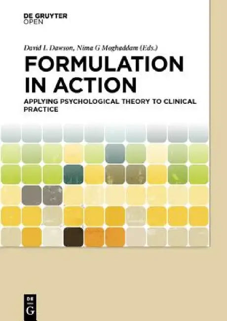 Formulation in Action (English, David Dawson | Nima Moghaddam)