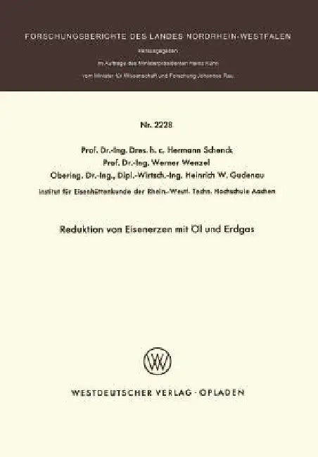 Reduktion Von Eisenerzen Mit Öl Und Erdgas (English, Hermann Schenck)
