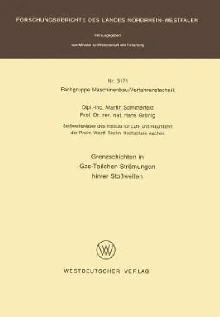 Grenzschichten in Gas-Teilchen-Strömungen Hinter Stoßwellen (English, Martin Sommerfeld)