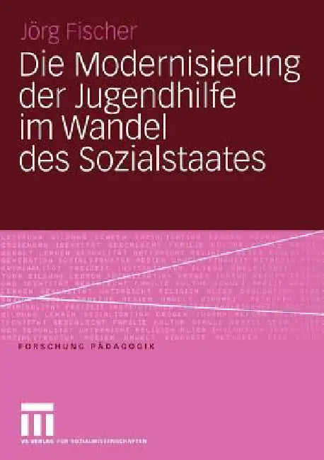 Die Modernisierung Der Jugendhilfe Im Wandel Des Sozialstaates (English, Jörg Fischer)
