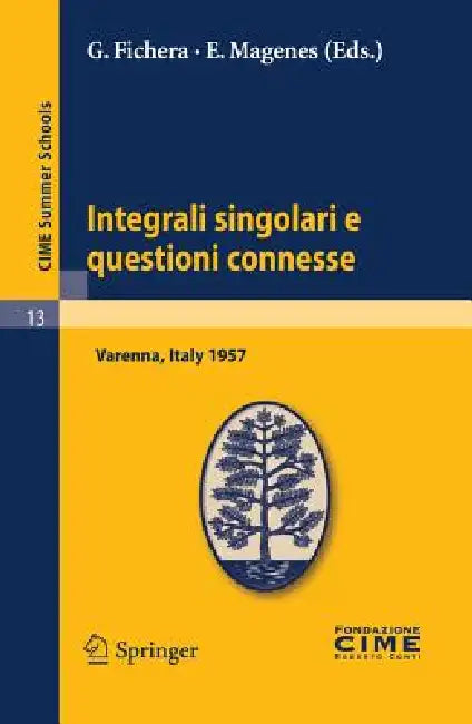 Integrali Singolari E Questioni Connesse (English, G. Fichera | E. Magenes)