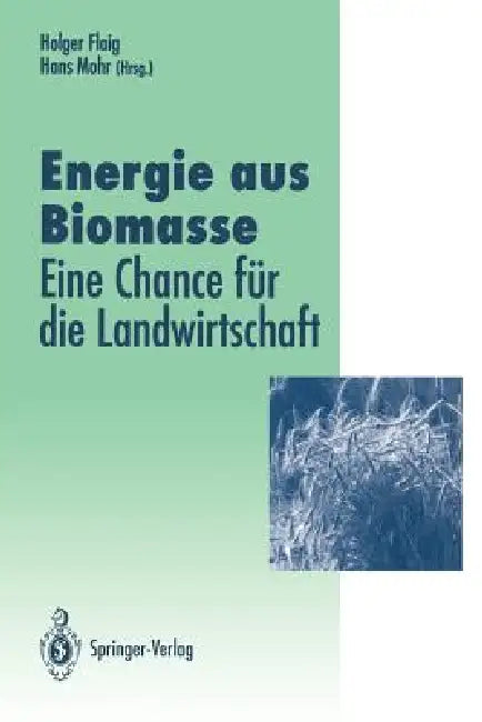 Energie Aus Biomasse (English, Holger Flaig | Hans Mohr)
