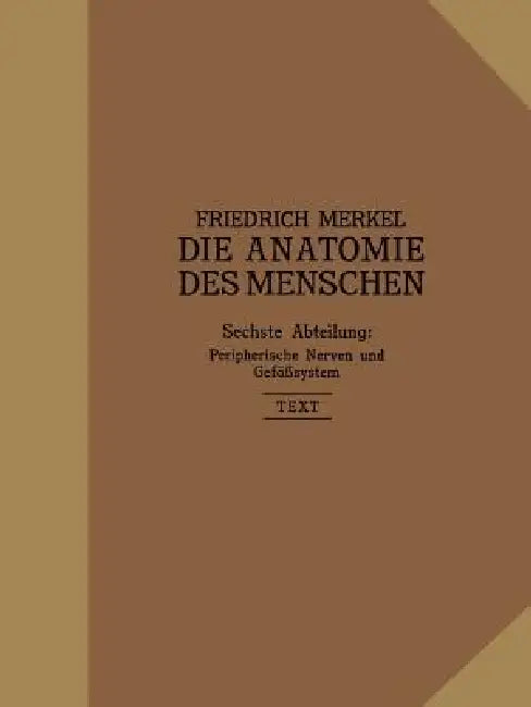 Peripherische Nerven, Gefäßsystem (English, Friedrich Merkel)