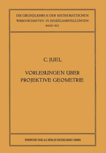 Vorlesungen Über Projektive Geometrie (English, Christian Juel)