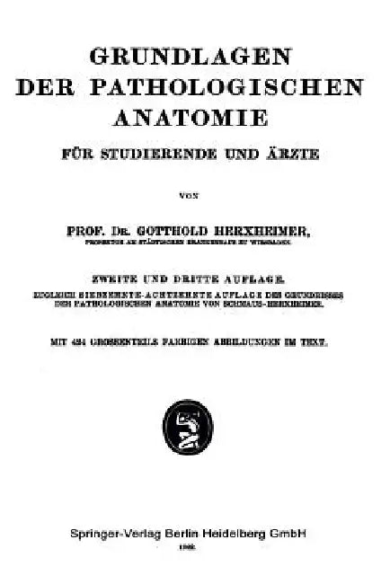 Grundlagen Der Pathologischen Anatomie (English, Gotthold Herxheimer | Hans Schmaus)