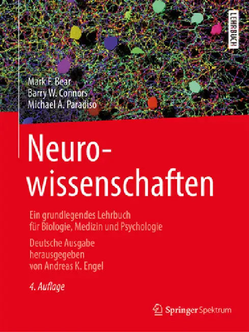 Neurowissenschaften (English, Mark F. Bear | Andreas K. Engel | Andreas Held)