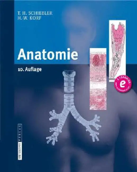 Anatomie (English, Theodor H. Schiebler | Horst-W Korf)