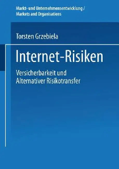 Internet-Risiken (English, Torsten Grzebiela)