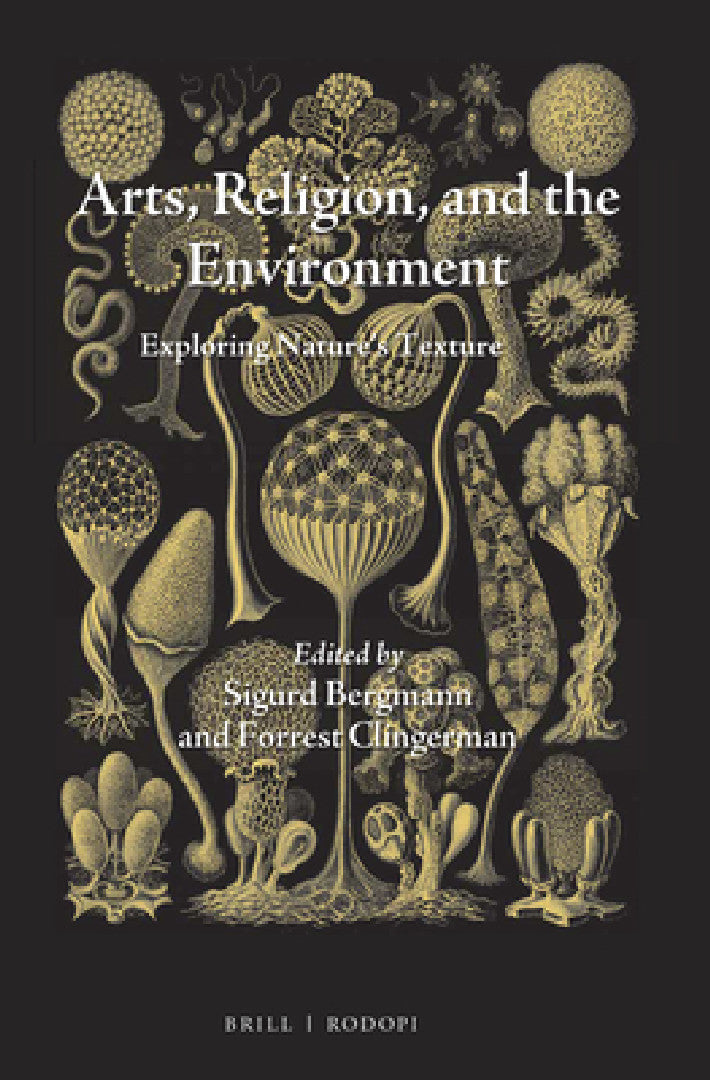 Arts, Religion, and the Environment (English, Sigurd Bergmann)