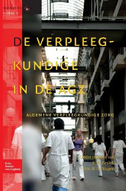 de Verpleegkundige in de Agz (English, Ij Jungen | J. a. M. Kerstens | E. M. Sesink)