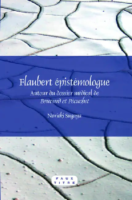 Flaubert épistémologue (English, Norioki Sugaya)