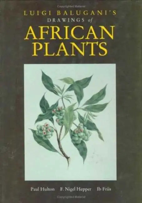 Luigi Balugani's Drawings of African Plants (English, Hulton Paul)