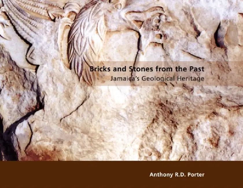 Bricks and Stones from the Past (English, Anthony R. D. Porter)