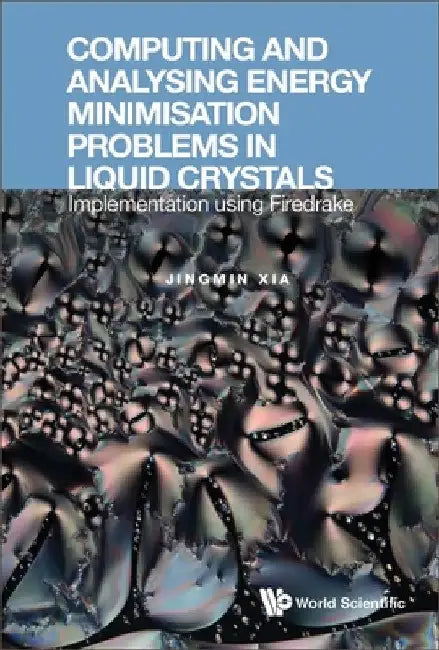Computing and Analysing Energy Minimisation Problems in Liquid Crystals (English, Jingmin Xia)