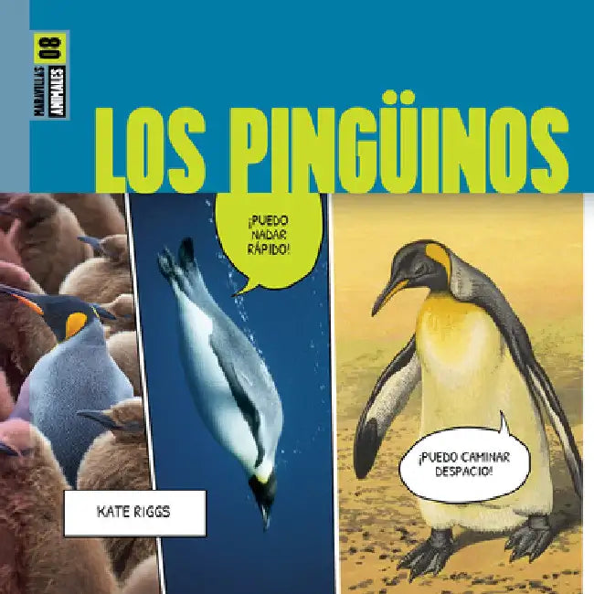 Los Pingüinos (English, Kate Riggs)