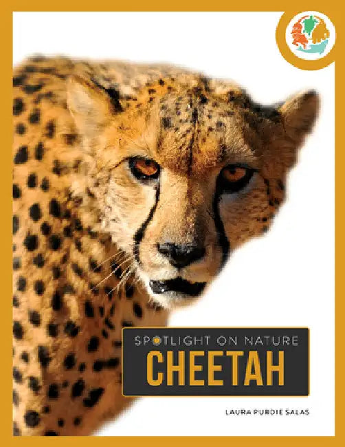 Cheetah (English, Laura Purdie Salas)