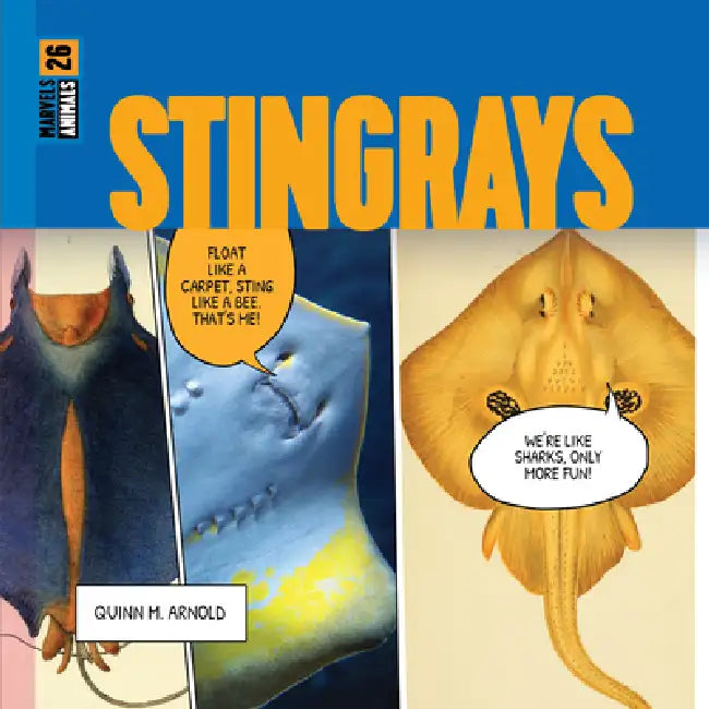 Stingrays (English, Quinn M. Arnold)