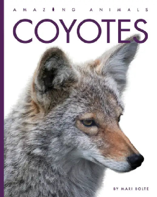 Coyotes (English, Mari Bolte)