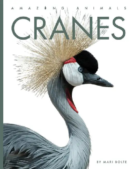 Cranes (English, Mari Bolte)