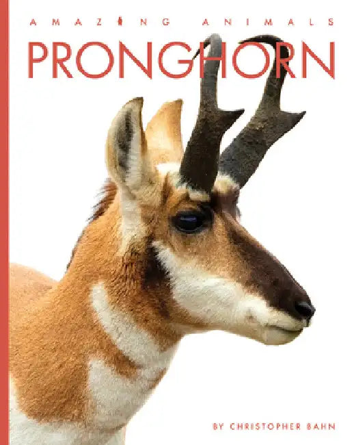 Pronghorn (English, Christopher Bahn | Jeanine Murch)