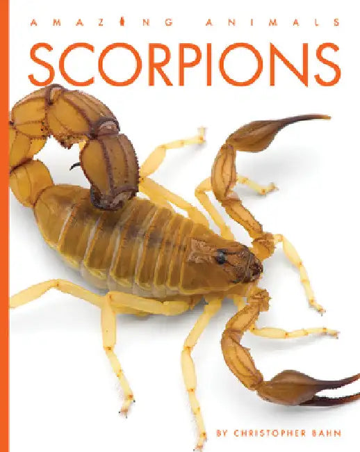 Scorpions (English, Christopher Bahn | Jeanine Murch)