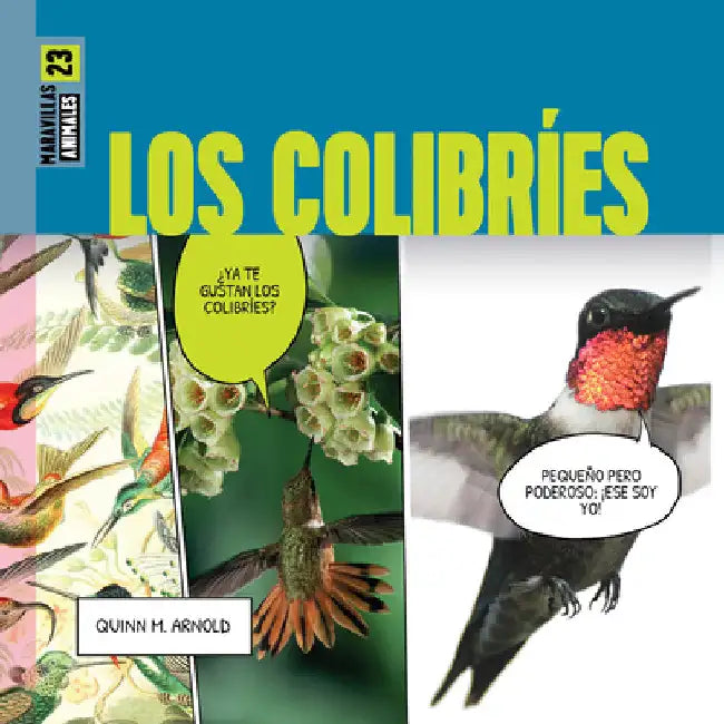 Los Colibríes (English, Quinn M. Arnold)