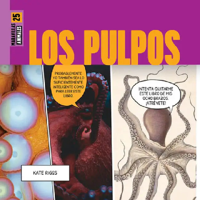 Los Pulpos (English, Kate Riggs)