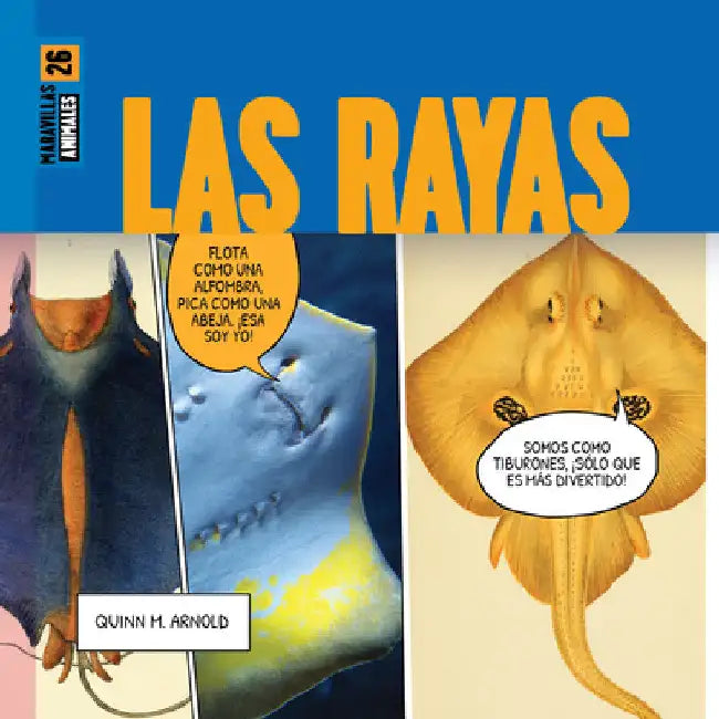 Las Rayas (English, Quinn M. Arnold | Kugu Soykan)