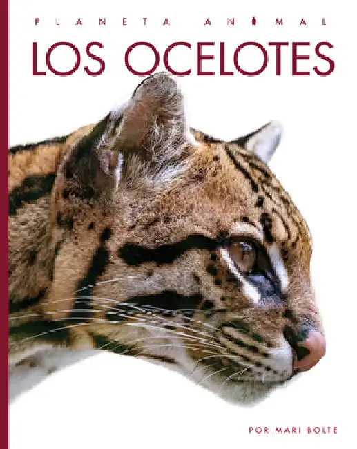 Los Ocelotes (English, Mari Bolte)