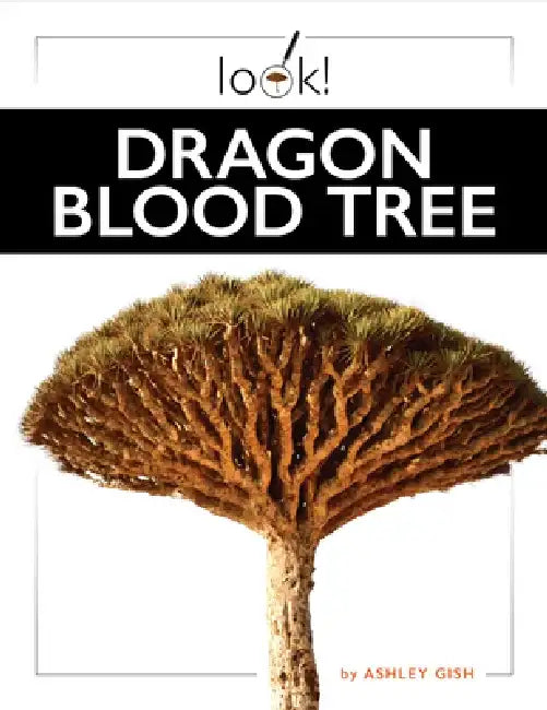 Dragon Blood Tree (English, Ashley Gish)