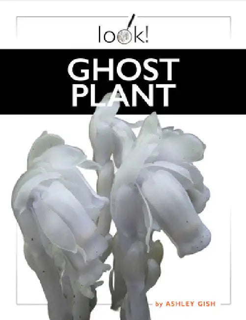 Ghost Plant (English, Ashley Gish)