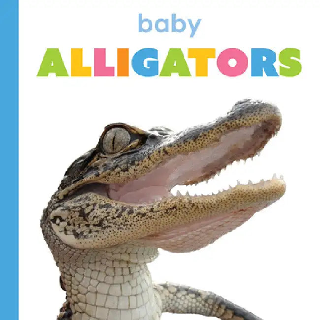 Baby Alligators (English, Kim Thompson)