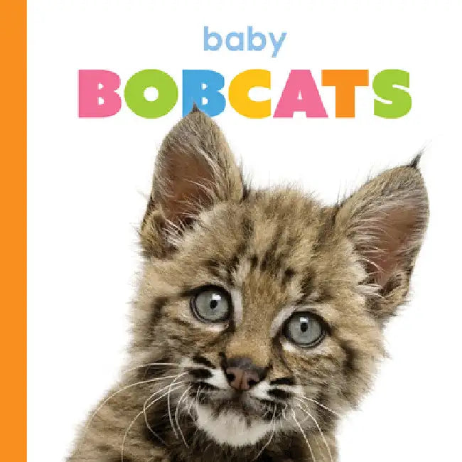 Baby Bobcats (English, Kim Thompson)