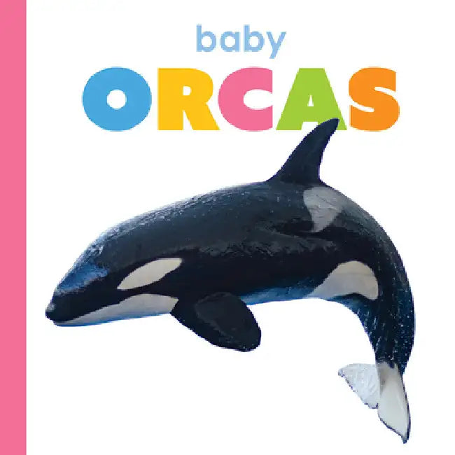 Baby Orcas (English, Kim Thompson)