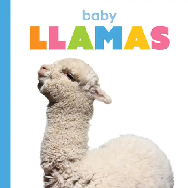 Baby Llamas (English, Kim Thompson)