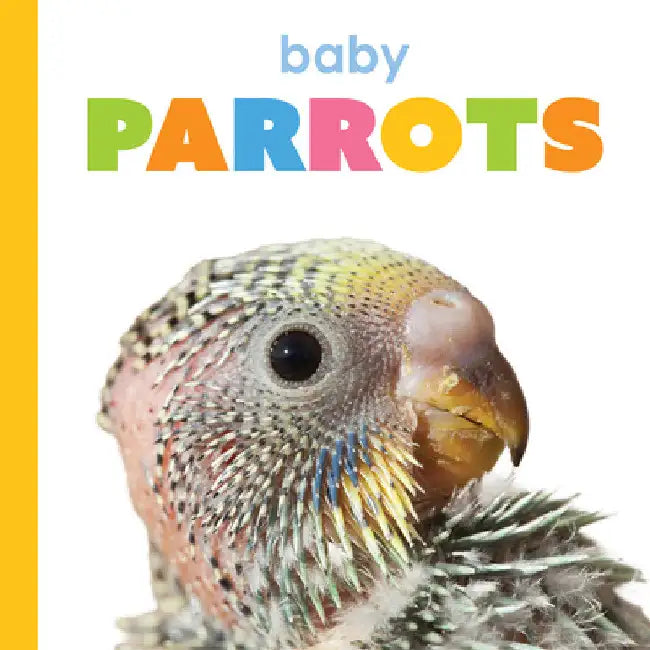 Baby Parrots (English, Kim Thompson)
