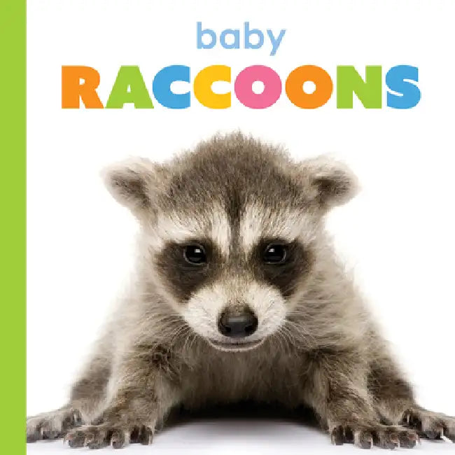 Baby Raccoons (English, Kim Thompson)