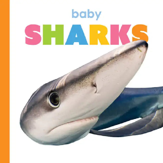 Baby Sharks (English, Kim Thompson)
