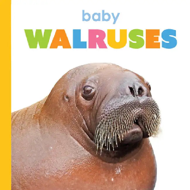 Baby Walruses (English, Kim Thompson)
