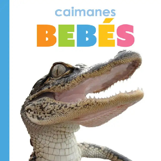 Caimanes Bebés (English, Kim Thompson)