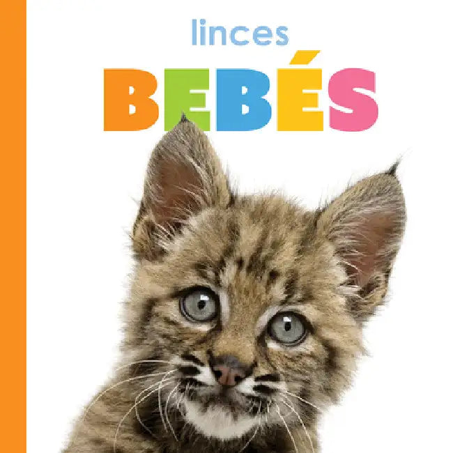 Linces Bebés (English, Kim Thompson)