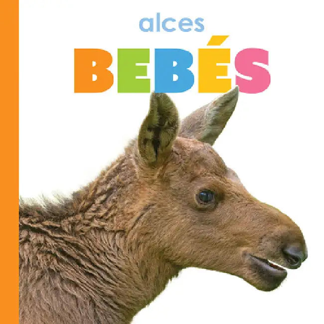 Alces Bebés (English, Kim Thompson)