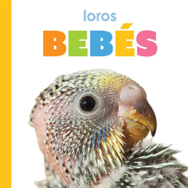 Loros Bebés (English, Kim Thompson)