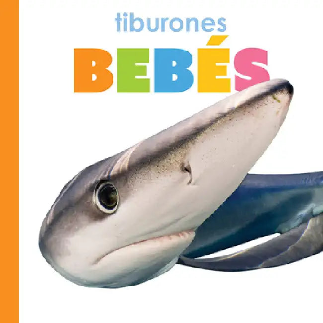 Tiburones Bebés (English, Kim Thompson)