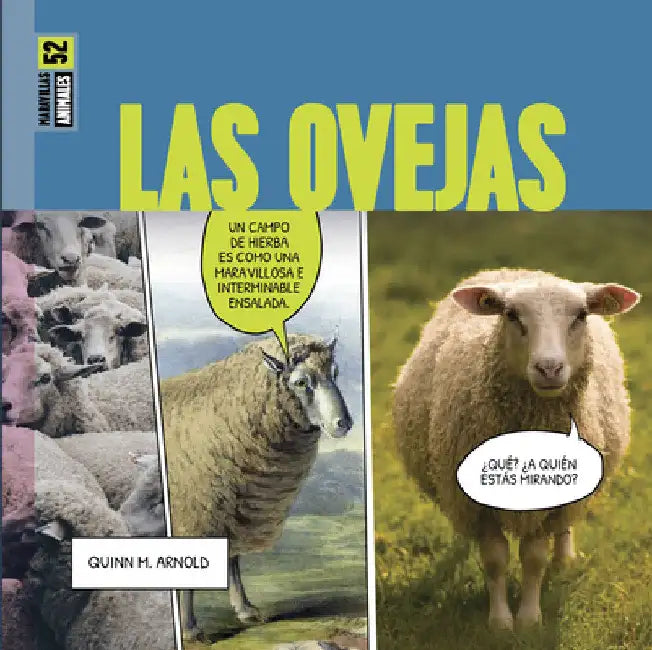 Las Ovejas (English, Quinn M. Arnold)
